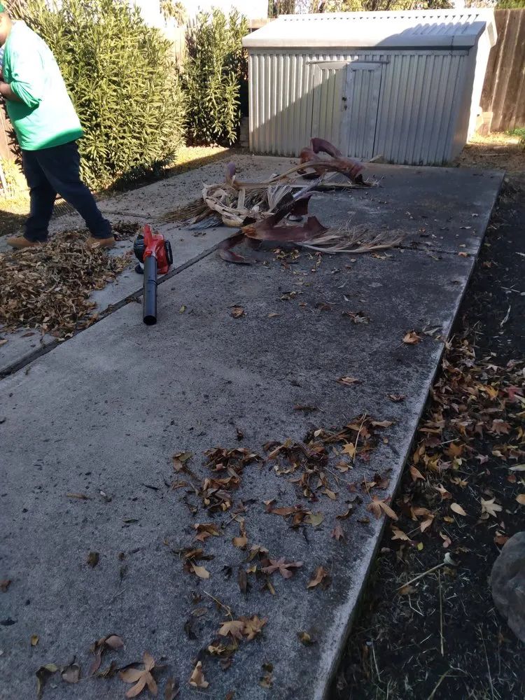 Custom landscaping services for year-round maintenance in Brentwood, CA by Jays Landscaping