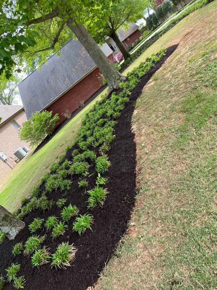 Top-rated yard maintenance in Hartselle, AL by Jay’s Landscaping