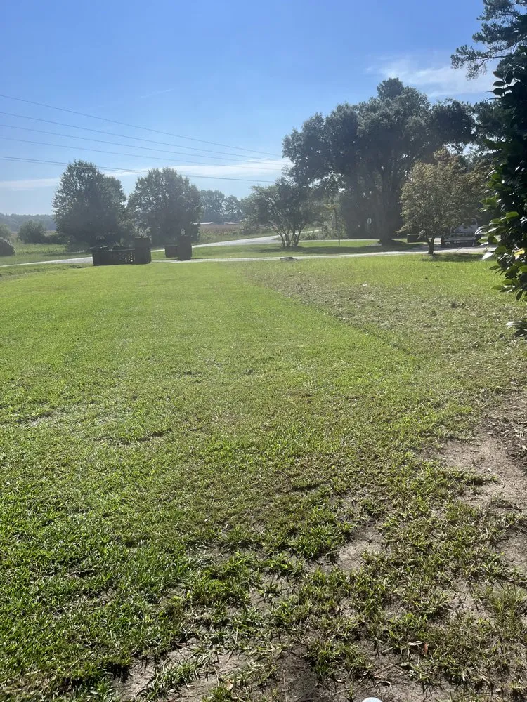 Top-rated yard cleanup service experts serving Lumberton, NC - Jays Landscaping