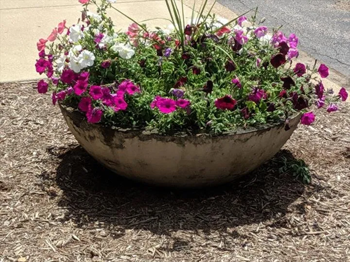 Trusted lawn care service in Pekin, IL - Jay’s Landscaping