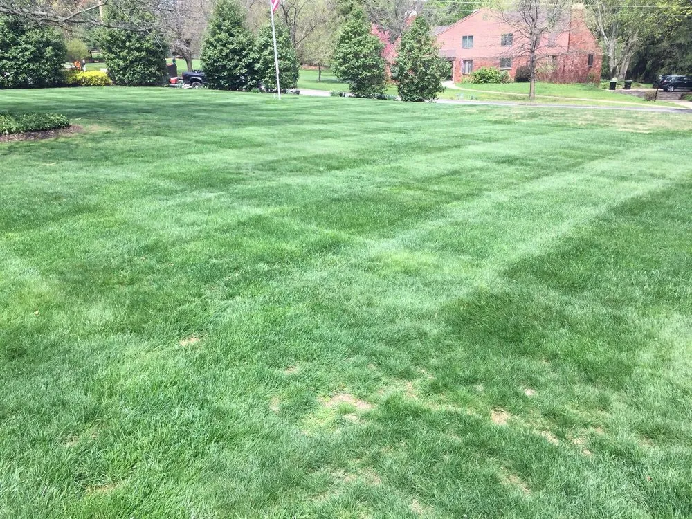 Local lawn mowing service with custom design across Pittsburgh, PA - Jay's Landscaping