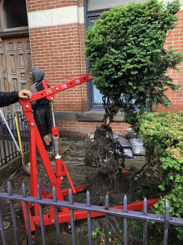 Top-rated landscaping services for outdoor upgrades across Pittsburgh, PA - Jay's Landscaping