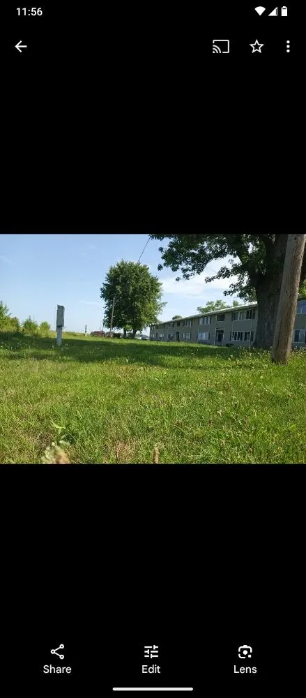 Expert yard maintenance in Kokomo, IN by Jay's landscaping royalty