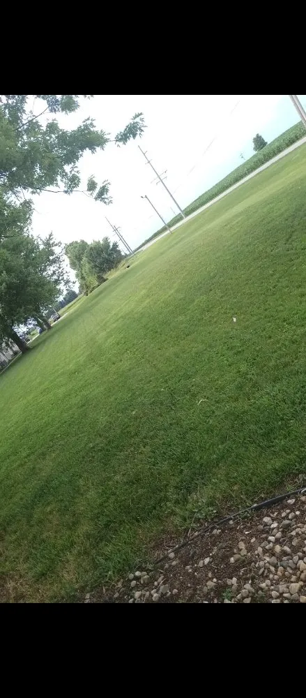 Affordable lawn care service in Kokomo, IN - Jay's landscaping royalty