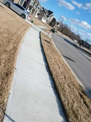 Jay's landscaping royalty Logo