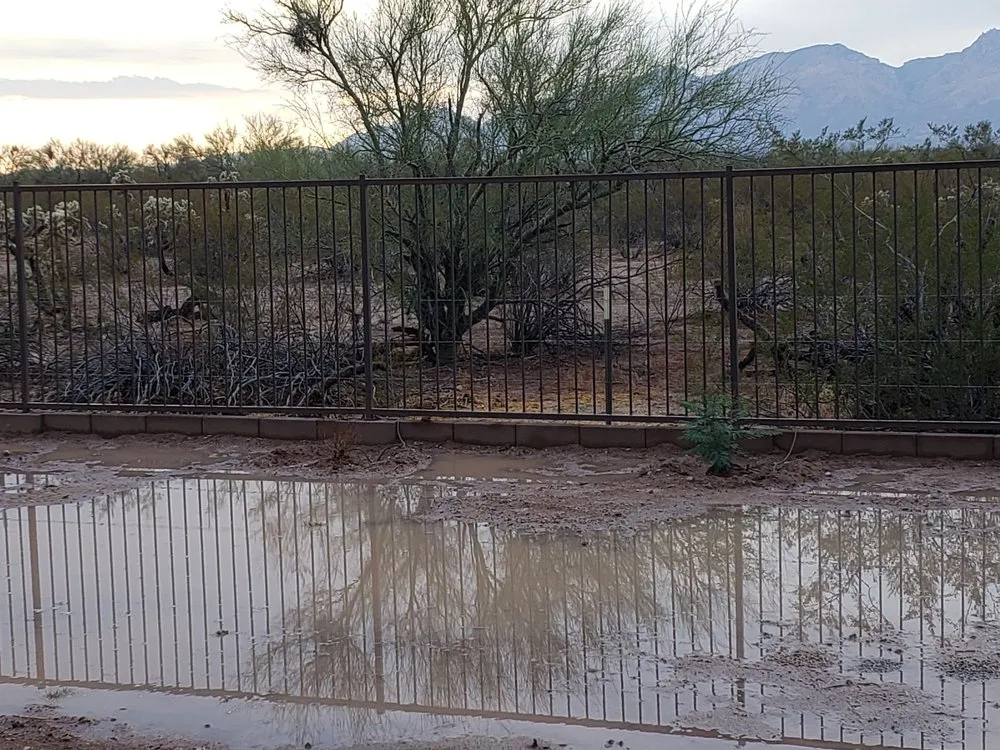 Local yard maintenance near you across Tucson, AZ - Jays Landscaping