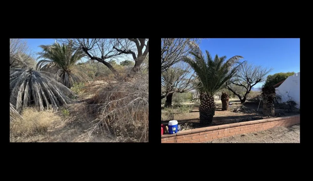 Affordable lawn care service in Tucson, AZ - Jays Landscaping