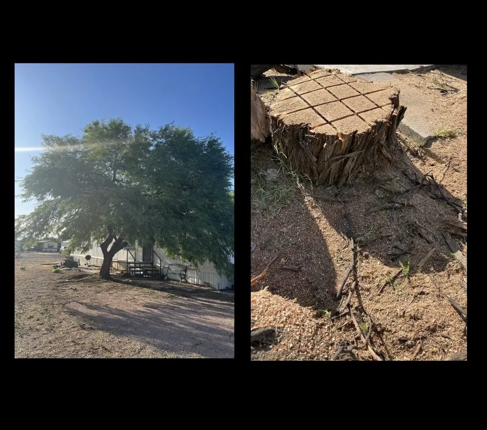 Expert landscape installation in Tucson, AZ - Jays Landscaping