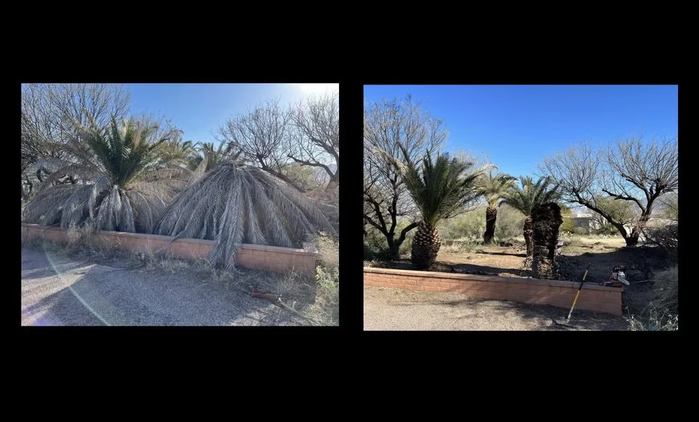 Trusted landscape design experts serving Tucson, AZ - Jays Landscaping