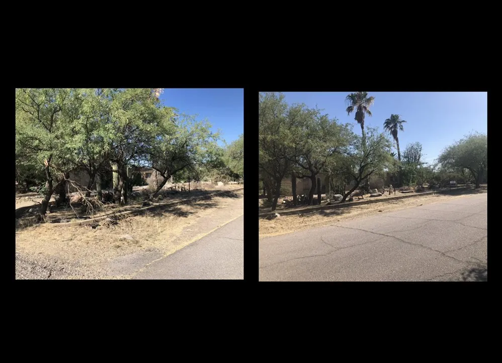 Trusted landscaping services in Tucson, AZ by Jays Landscaping