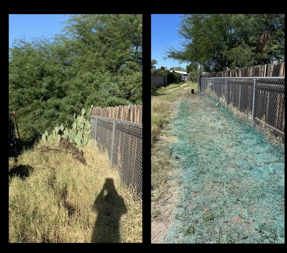 Professional landscape design experts serving Tucson, AZ - Jays Landscaping