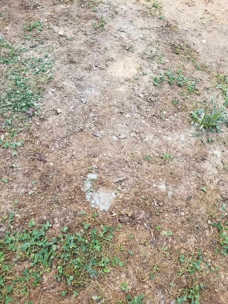 Trusted yard cleanup service in Wendell, NC by Jay's Lawn & Landscape