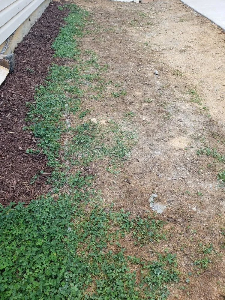 Affordable garden landscaping in Wendell, NC by Jay's Lawn & Landscape