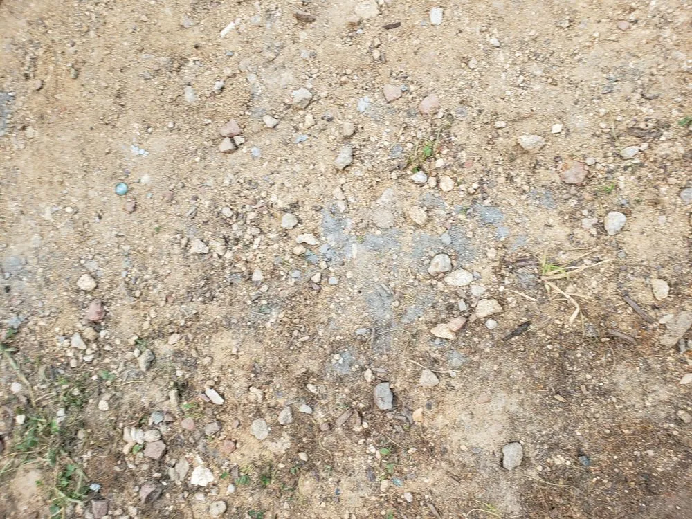 Custom lawn mowing service for year-round maintenance in Wendell, NC by Jay's Lawn & Landscape