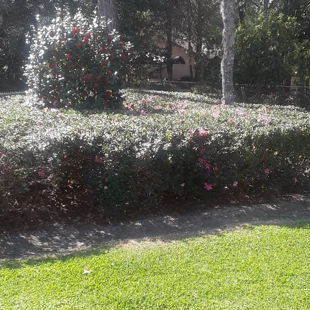 Top-rated residential landscaping experts serving Crystal River, FL - Jay's Lawn and Handyman Service