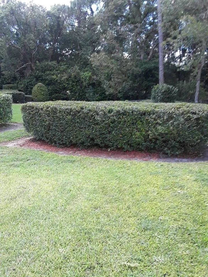 Local residential landscaping for year-round maintenance across Crystal River, FL - Jay's Lawn and Handyman Service