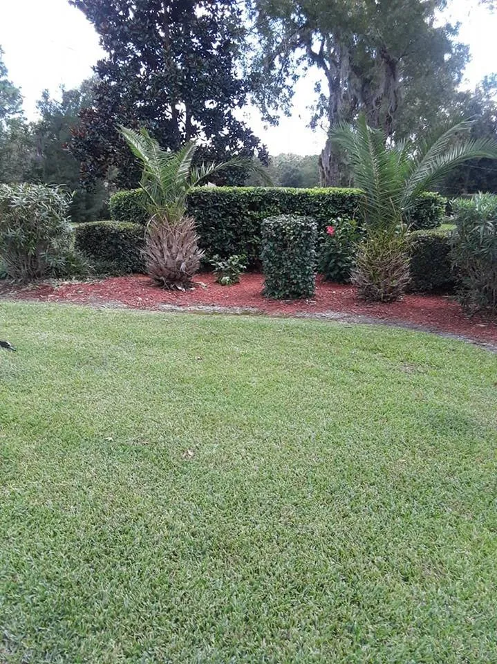Trusted lawn care service for beautiful yards in Crystal River, FL by Jay's Lawn and Handyman Service