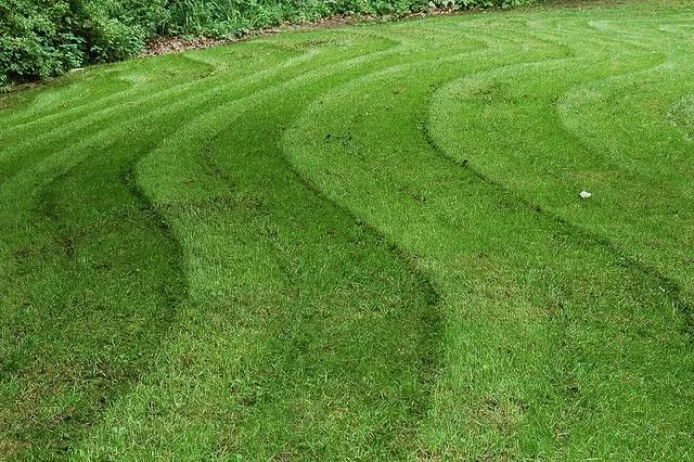 Custom lawn care service for outdoor upgrades in Dudley, MO by Jays Lawn and Land