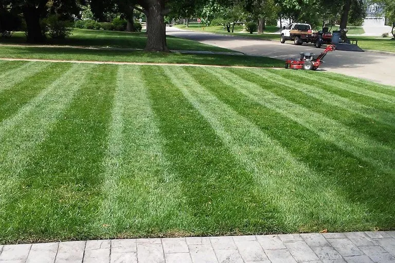Top-rated residential landscaping in Dudley, MO - Jays Lawn and Land