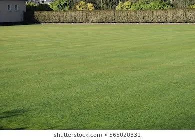 Jays Lawn and Land