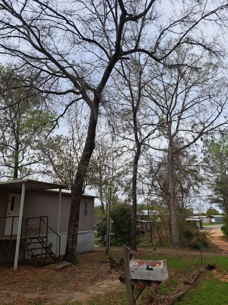 Custom outdoor landscaping experts serving Adger, AL - Jay's Lawn And Tree Service