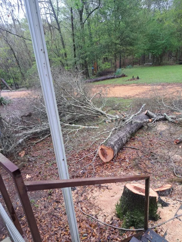 Local lawn mowing service in Adger, AL by Jay's Lawn And Tree Service