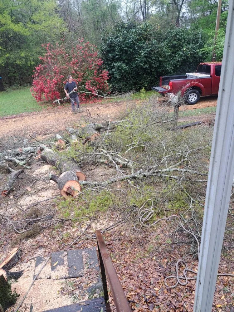 Professional landscaping services in Adger, AL - Jay's Lawn And Tree Service