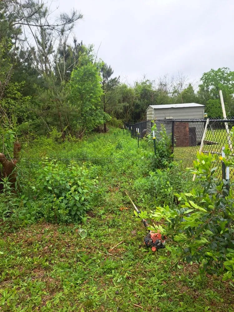 Affordable garden landscaping experts serving Adger, AL - Jay's Lawn And Tree Service