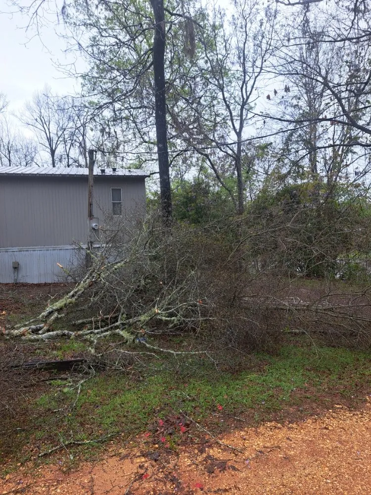 Custom landscape installation experts serving Adger, AL - Jay's Lawn And Tree Service