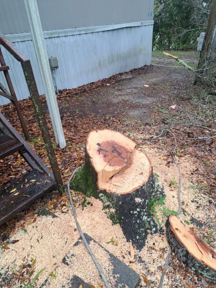 Trusted landscaping services experts serving Adger, AL - Jay's Lawn And Tree Service