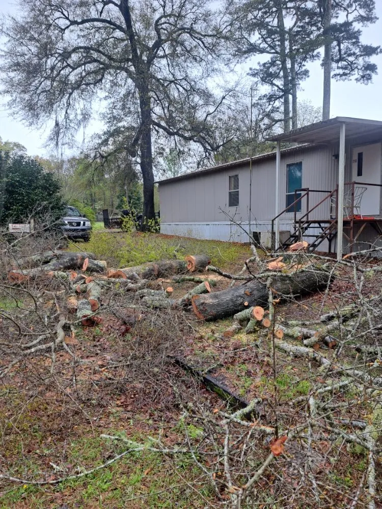 Custom yard cleanup service in Adger, AL by Jay's Lawn And Tree Service