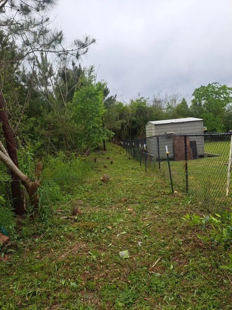 Professional landscaping services in Adger, AL by Jay's Lawn And Tree Service