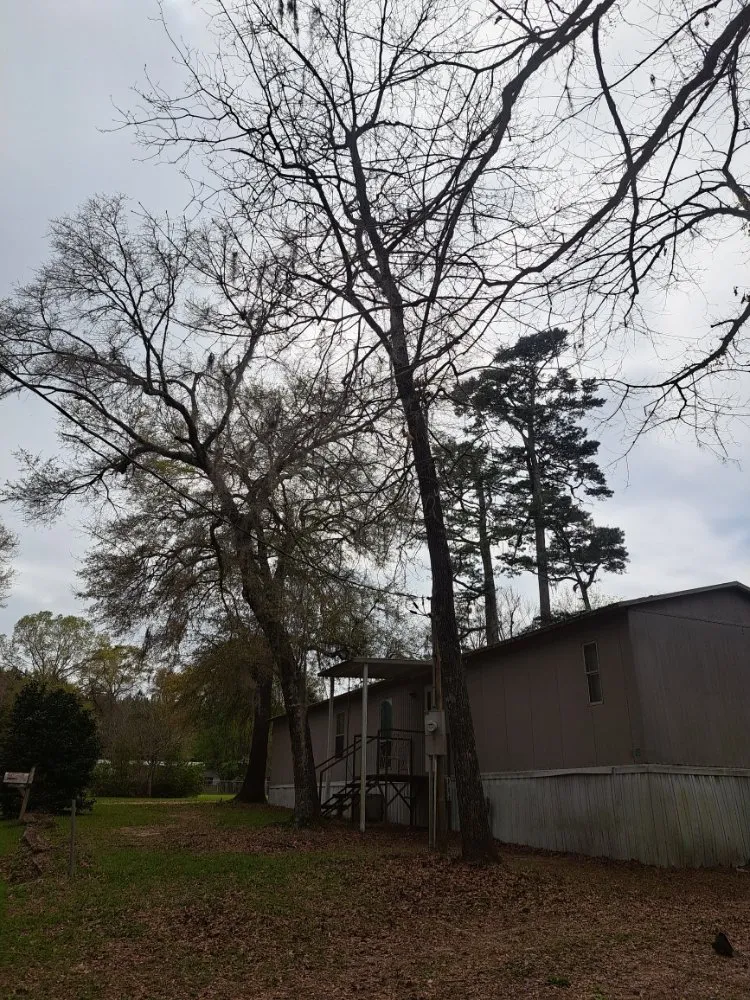 Trusted garden landscaping with custom design across Adger, AL - Jay's Lawn And Tree Service