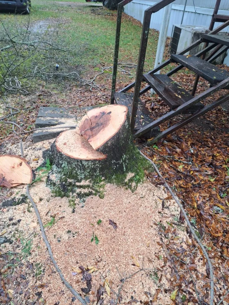 Expert landscaping services experts serving Adger, AL - Jay's Lawn And Tree Service