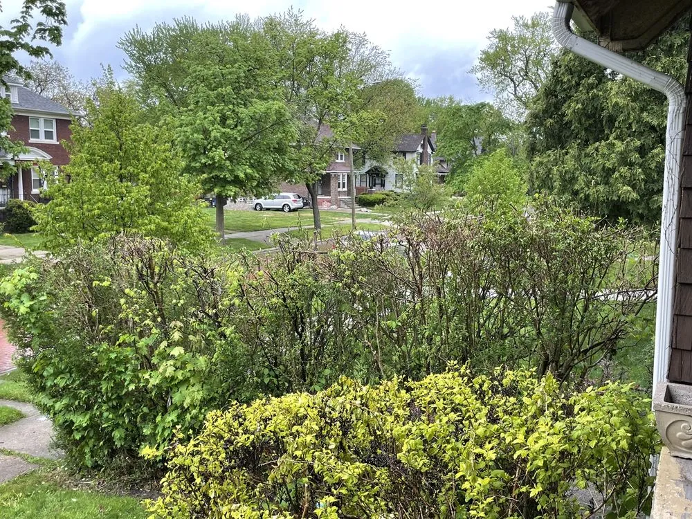 Expert landscape design experts serving Detroit metro, MI - Jay's Lawn Care and Custom Curbs