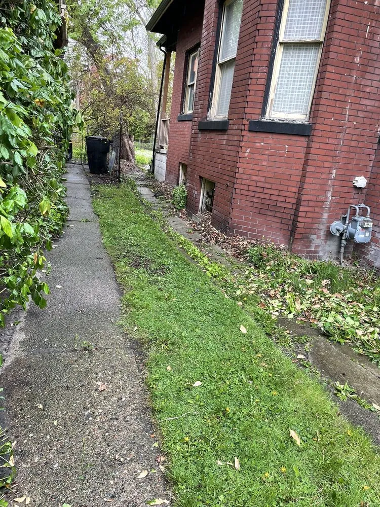 Affordable yard maintenance for homes across Detroit metro, MI - Jay's Lawn Care and Custom Curbs