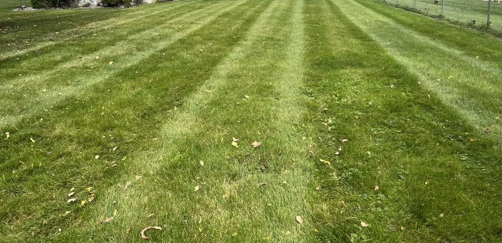 Affordable garden landscaping near you across Lansing, MI - Jays Lawn Care and Snow