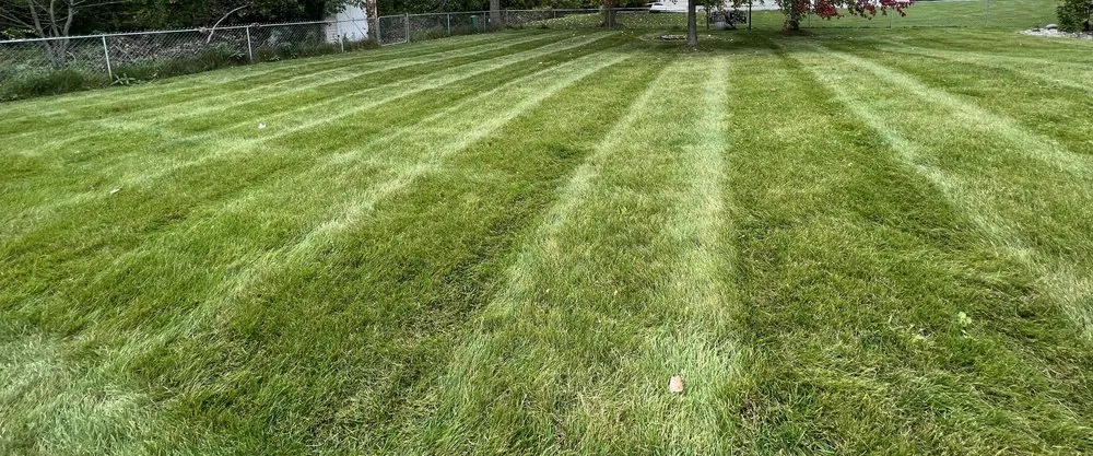 Expert landscape installation for residential properties in Lansing, MI by Jays Lawn Care and Snow