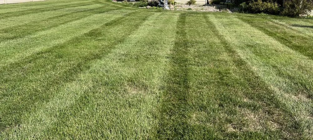 Top-rated lawn mowing service experts serving Lansing, MI - Jays Lawn Care and Snow