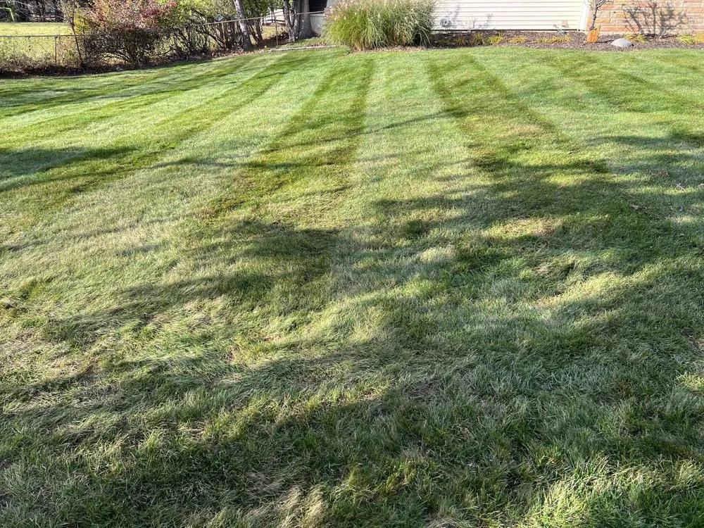 Local residential landscaping near you in Lansing, MI by Jays Lawn Care and Snow