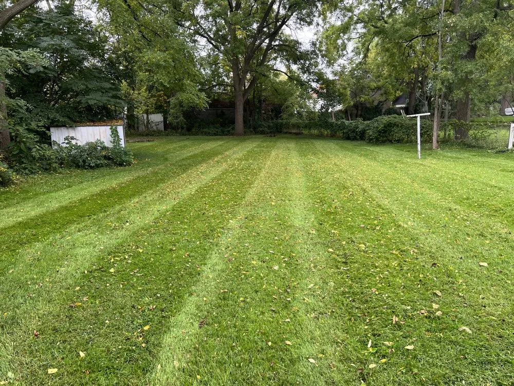 Reliable yard cleanup service in Lansing, MI by Jays Lawn Care and Snow