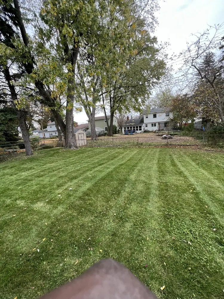 Professional yard cleanup service in Lansing, MI by Jays Lawn Care and Snow