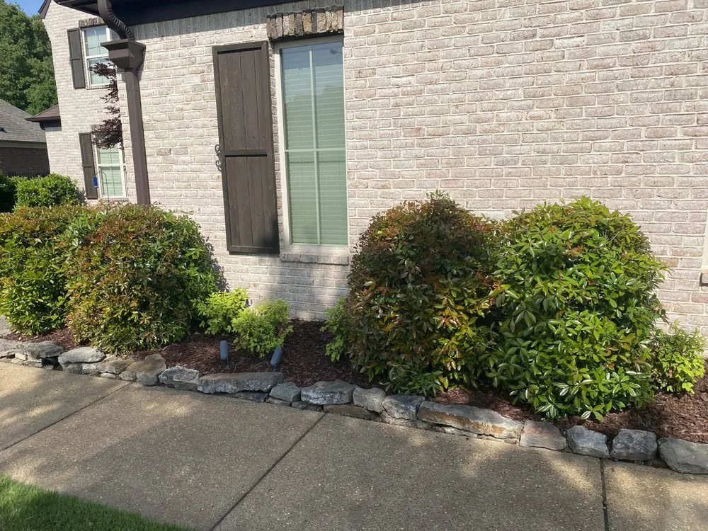 Professional yard cleanup service experts serving Arlington, TN - Jay's Lawn Care