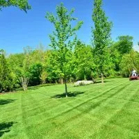 Local yard cleanup service experts serving Coraopolis, PA - Jays Lawn Care