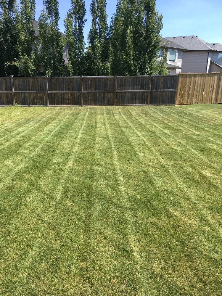 Local garden landscaping with custom design across Elsmere, KY - Jay’s Lawn Care