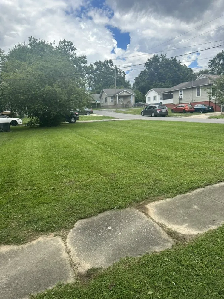 Top-rated landscape design experts serving Gastonia, NC - Jay’s Lawn care