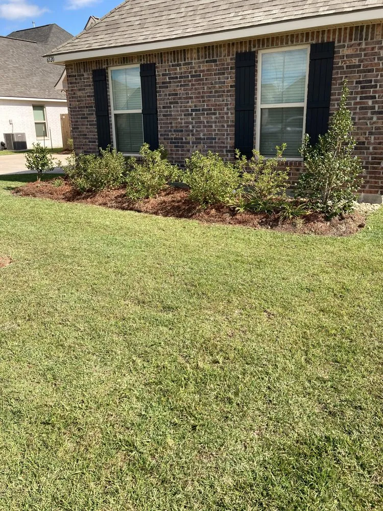 Professional yard maintenance for beautiful yards across Geismar, LA - Jays Lawn Care