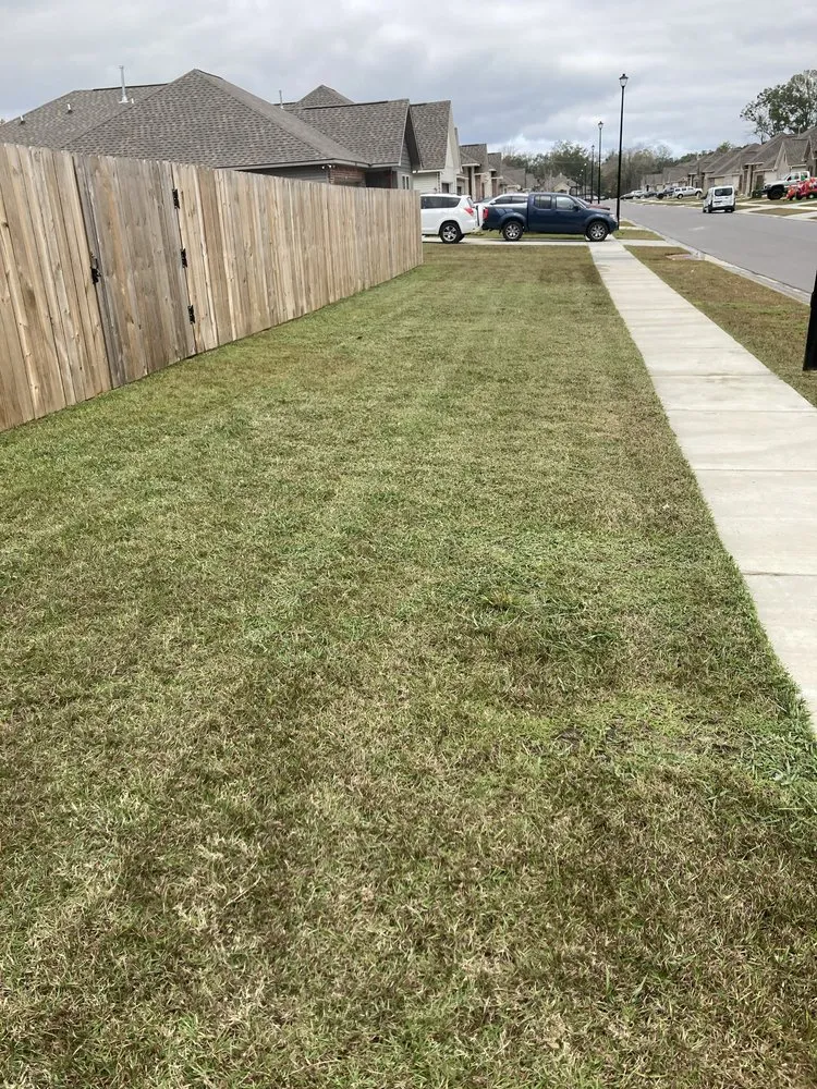Affordable landscape design for outdoor upgrades in Geismar, LA by Jays Lawn Care