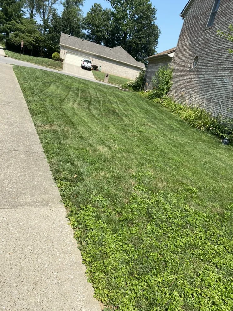 Reliable landscape installation near you across Sellersburg, IN - Jays Lawn Care