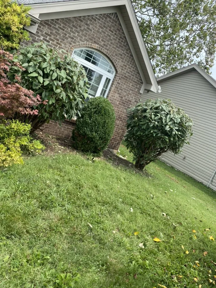 Affordable landscape installation in Sellersburg, IN by Jays Lawn Care